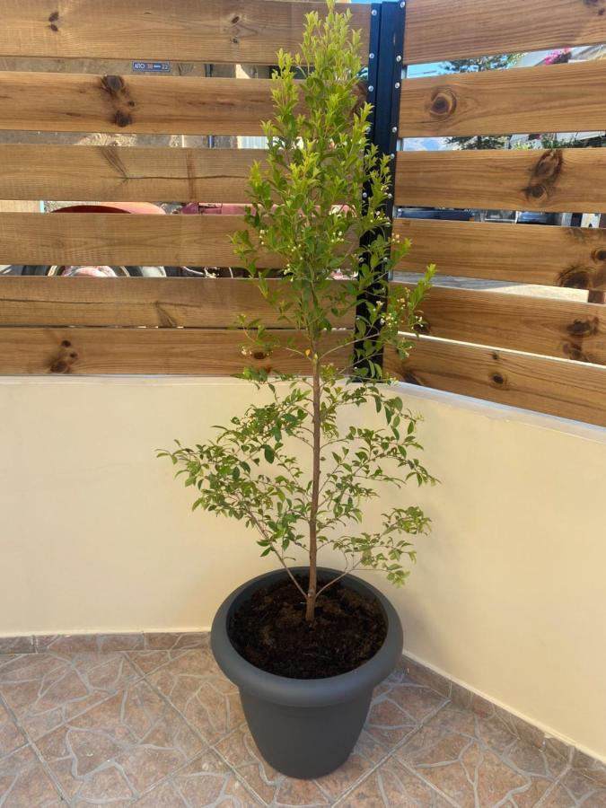 Appartamento Unique La Canea